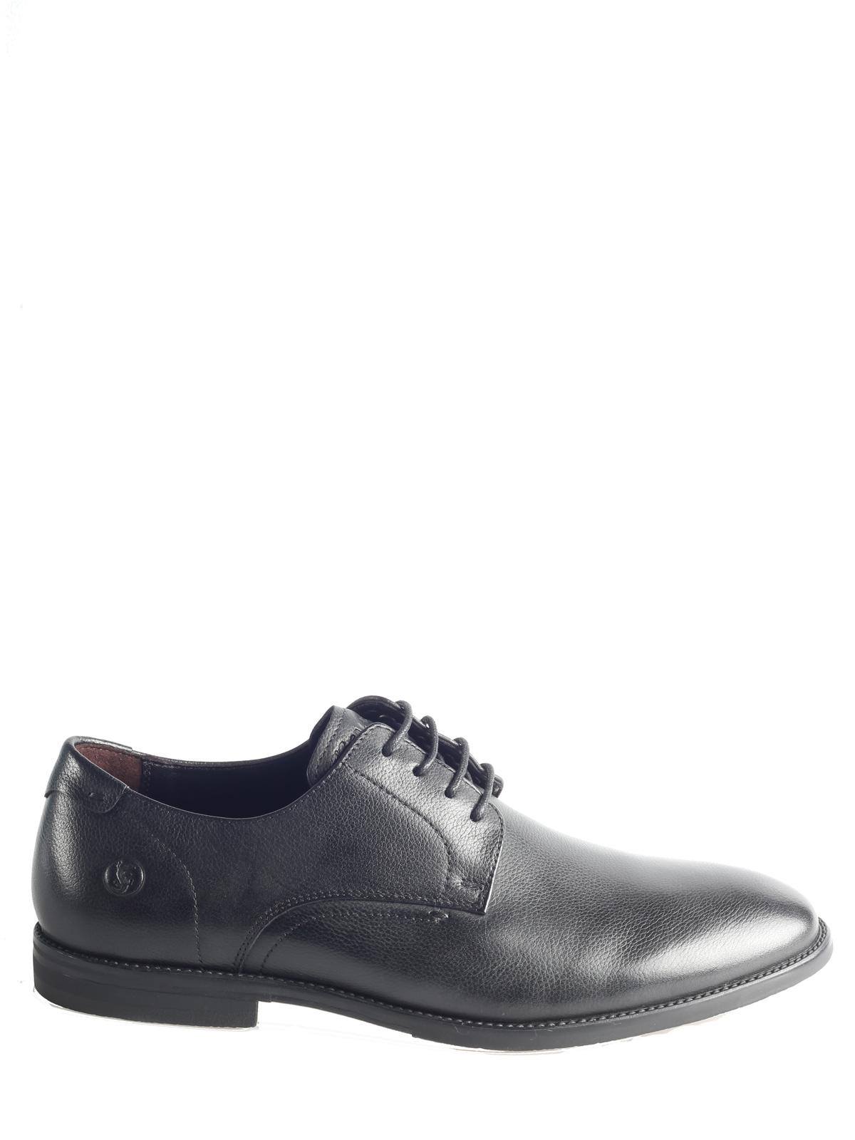 Salamander_26_058-1033A-1102_3.jpg